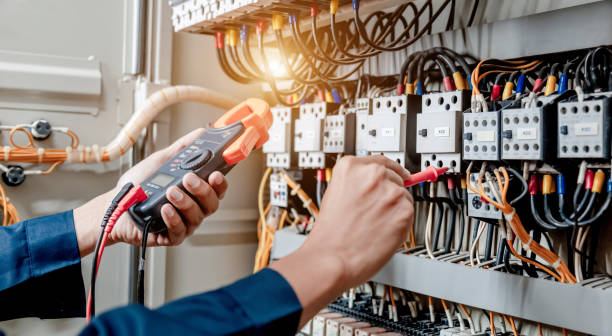 Best Electrician for Home Renovation  in Vla Park, IL