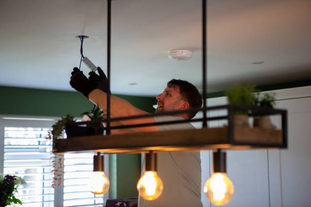 Best Generator Installation Services  in Vla Park, IL